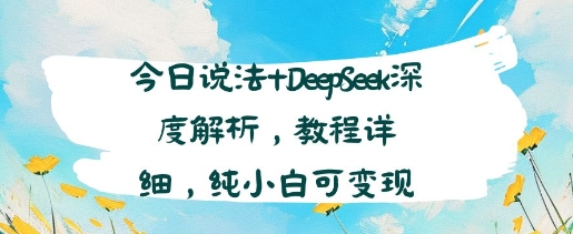 今日说法+DeepSeek深度解析，教程详细，纯小白可变现-水水网赚