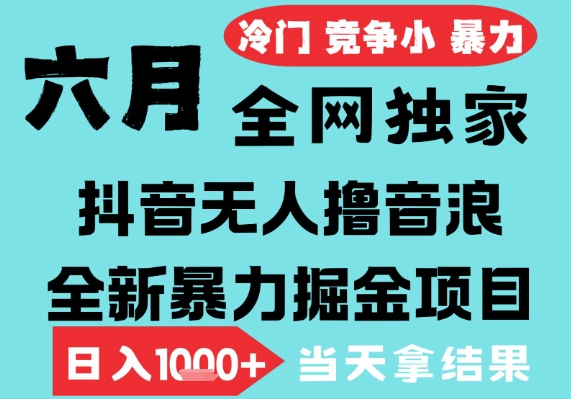 2025年6月高爆抖音无人直播最新撸音浪掘金项目，无脑日入1k+，低门槛小白可做，可矩阵放大【揭秘】-水水网赚