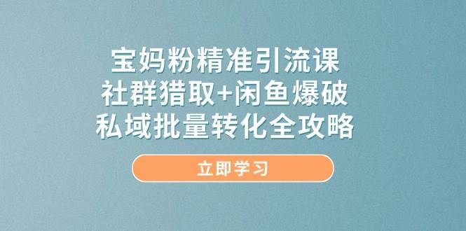 宝妈粉精准引流课，社群猎取+闲鱼爆破，私域批量转化全攻略-水水网赚
