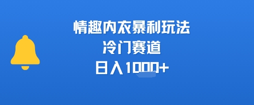 情趣内衣暴利玩法，冷门赛道，日入1k+-水水网赚