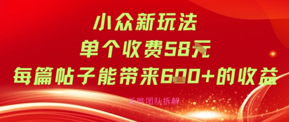 小众新玩法单个收费58米每篇帖子能带来6张+的收益-水水网赚
