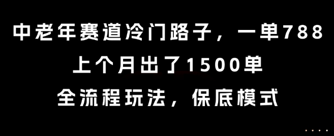 中老年赛道冷门路子，一单788，上个月出了1500单，全流程玩法，保底模式【揭秘】-水水网赚