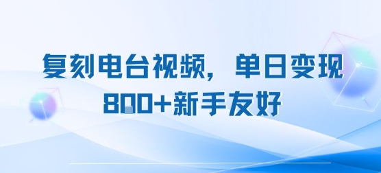 复刻电台视频，单日变现8张+新手友好，长期可做-水水网赚
