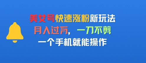 美女号快速涨粉新玩法，月入过W，一刀不剪，一个手机就能操作-水水网赚