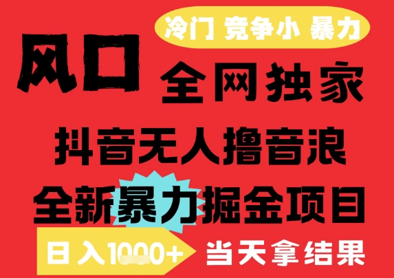25年6月高爆抖音无人直播最新撸音浪掘金项目，解放双手小白可做，无脑日入1k+，门槛低【揭秘】-水水网赚