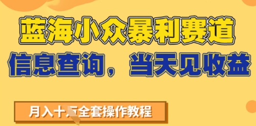 蓝海小众暴利赛道，信息查询，当天见收益，不讲玄学，7天搞了2W+-水水网赚