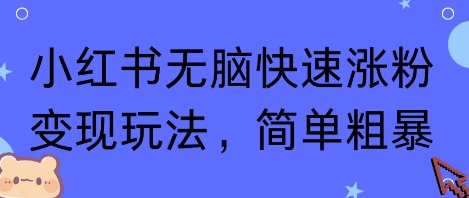 小红书无脑快速涨粉变现玩法，简单粗暴-水水网赚