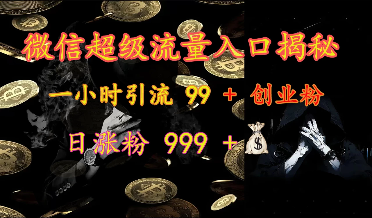 微信超级流量入口揭秘：一小时引流 99 + 创业粉，日涨粉 999 +-水水网赚