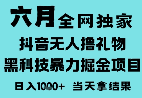 25年6月高爆抖音无人直播最新撸音浪掘金项目，门槛低小白可做，无脑日入1k，可矩阵放大【揭秘】-水水网赚