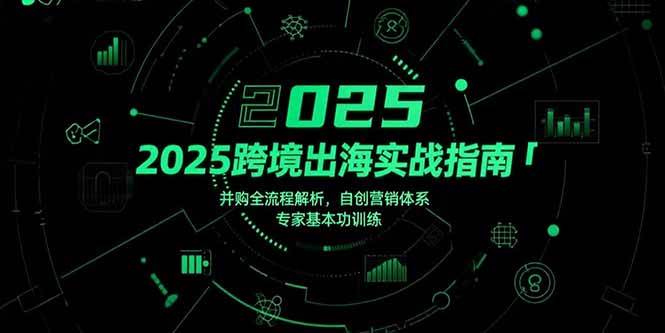 （15503期）2025跨境出海实战指南，并购全流程解析，自创营销体系，专家基本功训练-水水网赚