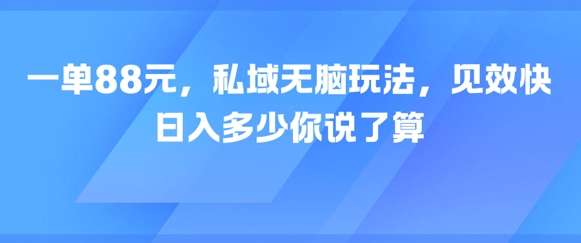 一单88元，私域无脑玩法，见效快，日入多少你说了算-水水网赚