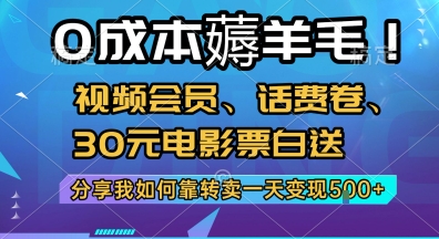 0成本薅羊毛!视频会员、话费卷、30元电影票白送，分享我如何靠转卖一天变现5张+【揭秘】-水水网赚
