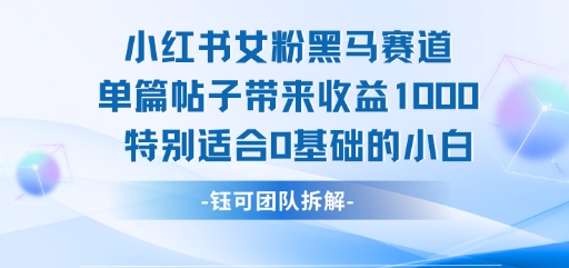 小红书女粉黑马赛道单篇帖子带来收益1k+，特别适合0基础的小白-水水网赚