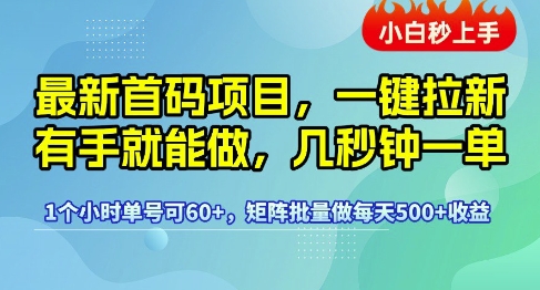 最新首码项目，一键拉新有手就能做，几秒钟一单，1个小时单号可60+，矩阵批量做每天5张【揭秘】-水水网赚
