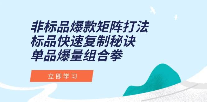 （15068期）非标品爆款矩阵打法，标品快速复制秘诀，单品爆量组合拳-水水网赚