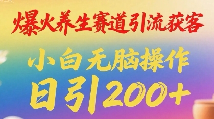 爆火养生赛道引流获客，小白无脑操作，日引200+-水水网赚