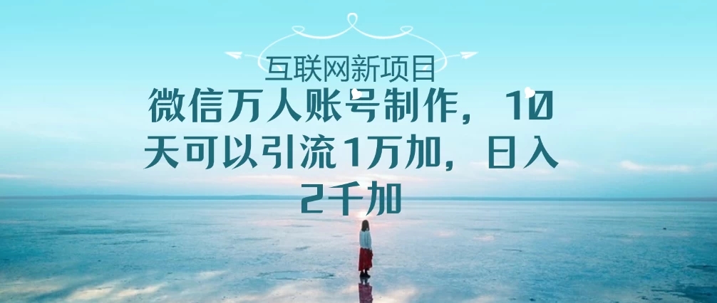 微信万人账号，10天可以引流1W+ 日入2千+-水水网赚