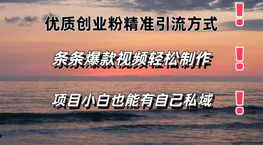 优质创业粉精准引流方式，条条视频爆款，小白也能轻松拥有自己的私域！！！-水水网赚