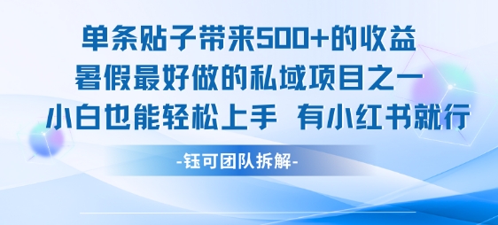 单条贴子带来5张的收益，暑假最好做的私域项目之一，小白也能轻松上手，有小红书就行-水水网赚
