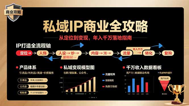 私域IP商业全攻略，从定位到变现，年入千万落地指南-水水网赚