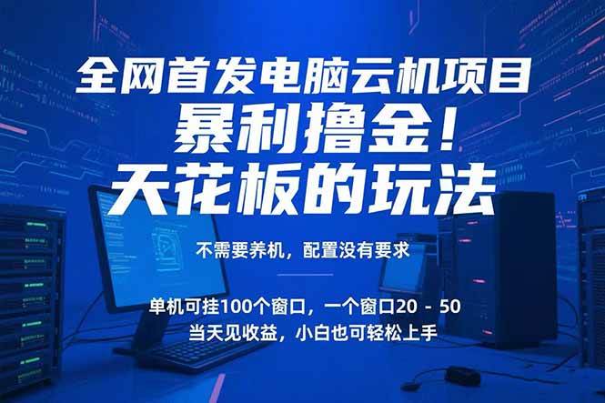 （15323期）电脑云机项目 暴力撸金玩法，不需要养机 配置没有要求 单机100个窗口一…-水水网赚
