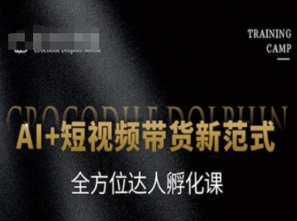 AI+短视频带货新范式，全方位达人孵化课-水水网赚