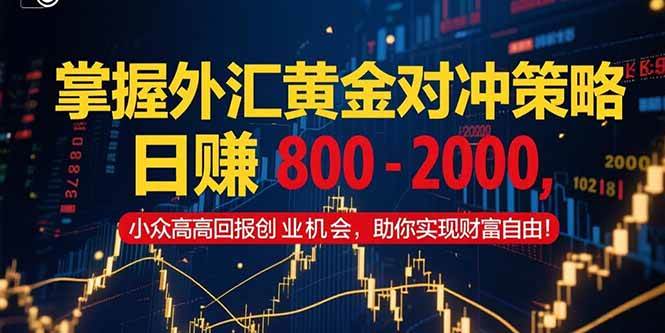 （15198期）掌握外汇黄金对冲策略，日赚 800 – 2000，小众高回报创业机会，助你实…-水水网赚