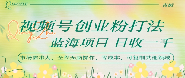 视频号创业粉打法，日入1k，蓝海项目，市场需求大，全程无脑操作，可复制-水水网赚