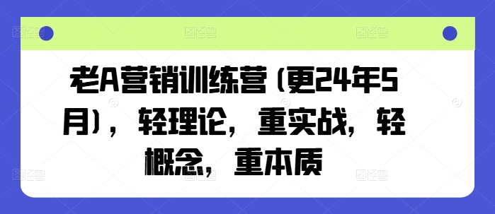 老A营销训练营(更25年6月)，轻理论，重实战，轻概念，重本质-水水网赚