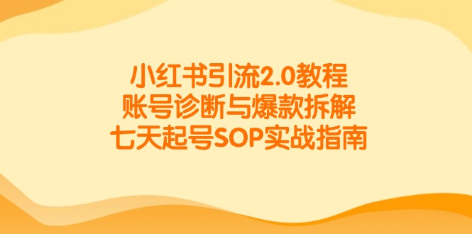 小红书引流2.0教程，账号诊断与爆款拆解，七天起号SOP实战指南-水水网赚