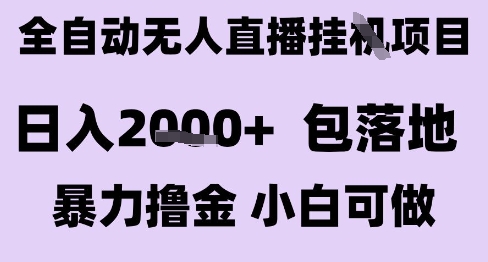 最新全自动抖音无人直播挂G项目，日入2k+ 包落地暴力撸金，小白可做【揭秘】-水水网赚