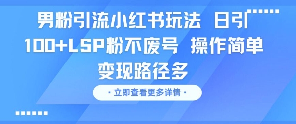 男粉引流小红书玩法，日引100+LSP粉不废号，操作简单，变现路径多-水水网赚