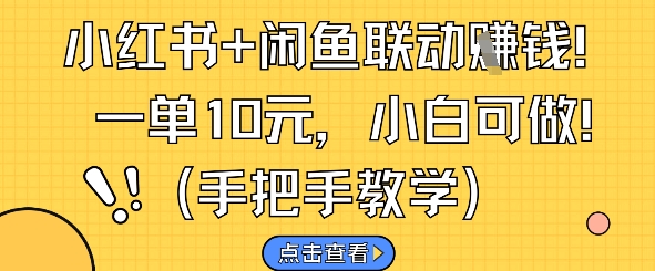 小红书+闲鱼联动挣钱，一单10元，小白可做-水水网赚