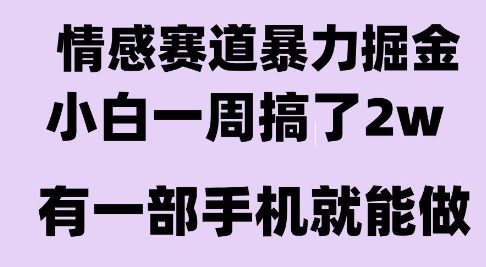 情感暴力掘金项目，新人操作一周挣了2W，长期稳定小白可做【揭秘】-水水网赚