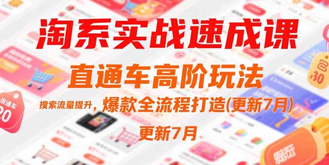 淘系实战速成课，直通车高阶玩法，搜索流量提升，爆款全流程打造(更新7月-水水网赚