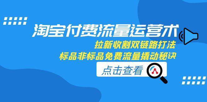 （15135期）淘宝付费流量运营术，拉新收割双链路打法，标品非标品免费流量撬动秘诀-水水网赚