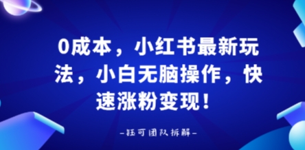 0成本，小红书最新玩法，小白无脑操作，快速涨粉变现-水水网赚