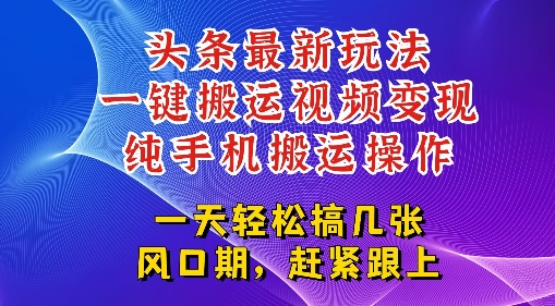 今日头条最新玩法，一键搬运视频也能轻松变现，随随便便就爆百W流量，新风口新玩法-水水网赚