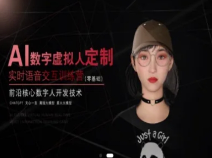 AI数字虚拟人定制，实时语音交互训练营（零基础），前沿核心数字人开发技术-水水网赚