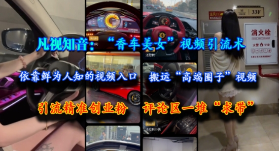 凡视知音：“香车美女”视频引流术，依靠鲜为人知的视频入口，搬运“高端圈子”视频，引流精准创业粉，评论区一堆“求带”-水水网赚