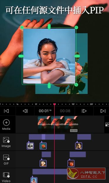 VLLO视频编辑器 v12.3.2高级版-水水网赚
