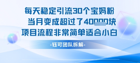 每天稳定引流30个人 当月变成超过了4个W项目流程非常简单适合小白-水水网赚