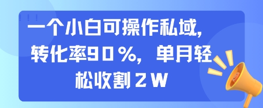 一个小白可操作私域，转化率90%，单月轻松收割2W-水水网赚