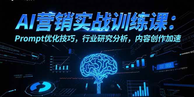 （15465期）AI营销实战训练课：Prompt优化技巧，行业研究分析，内容创作加速-水水网赚