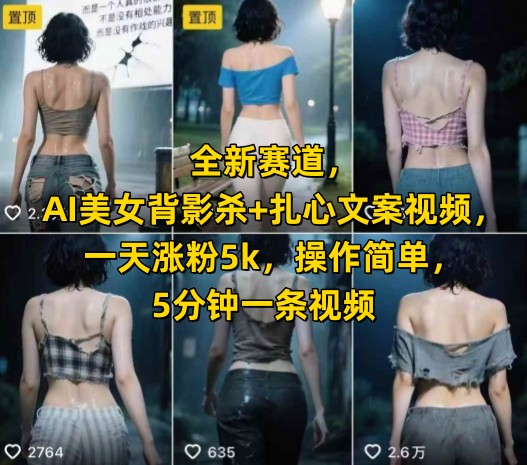 全新赛道，AI美女背影杀+扎心文案视频，一天涨粉5k，操作简单，5分钟一条视频-水水网赚