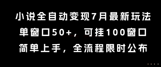 小说全自动变现7月玩法，单窗口50+，可挂100窗口，简单上手，全流程限时公布【揭秘】-水水网赚