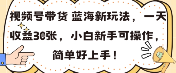 视频号带货蓝海新玩法，一天收益3张，小白新手可操作，简单好上手!-水水网赚