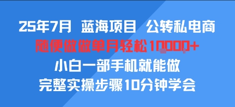 25年7月蓝海项目，公转私电商，随便做做单月轻松1w，小白一部手机就能做，完整实操步骤10分钟学会-水水网赚