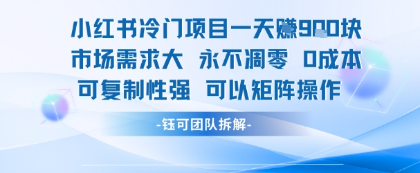 小红书冷门项目一天收益9张，市场需求大，0成本，可复制性强可以矩阵操作-水水网赚