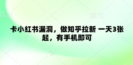 卡小红书漏洞，做知乎拉新 一天3张起，有手机即可-水水网赚